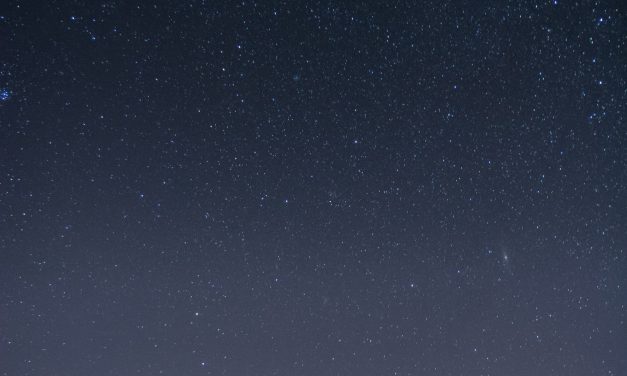 The Stars