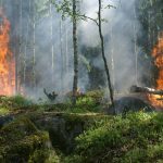Asbestos Was Acclaimed as an Excellent Fire Retardant. It also Causes Cancer.